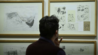 galerie anifilm4
